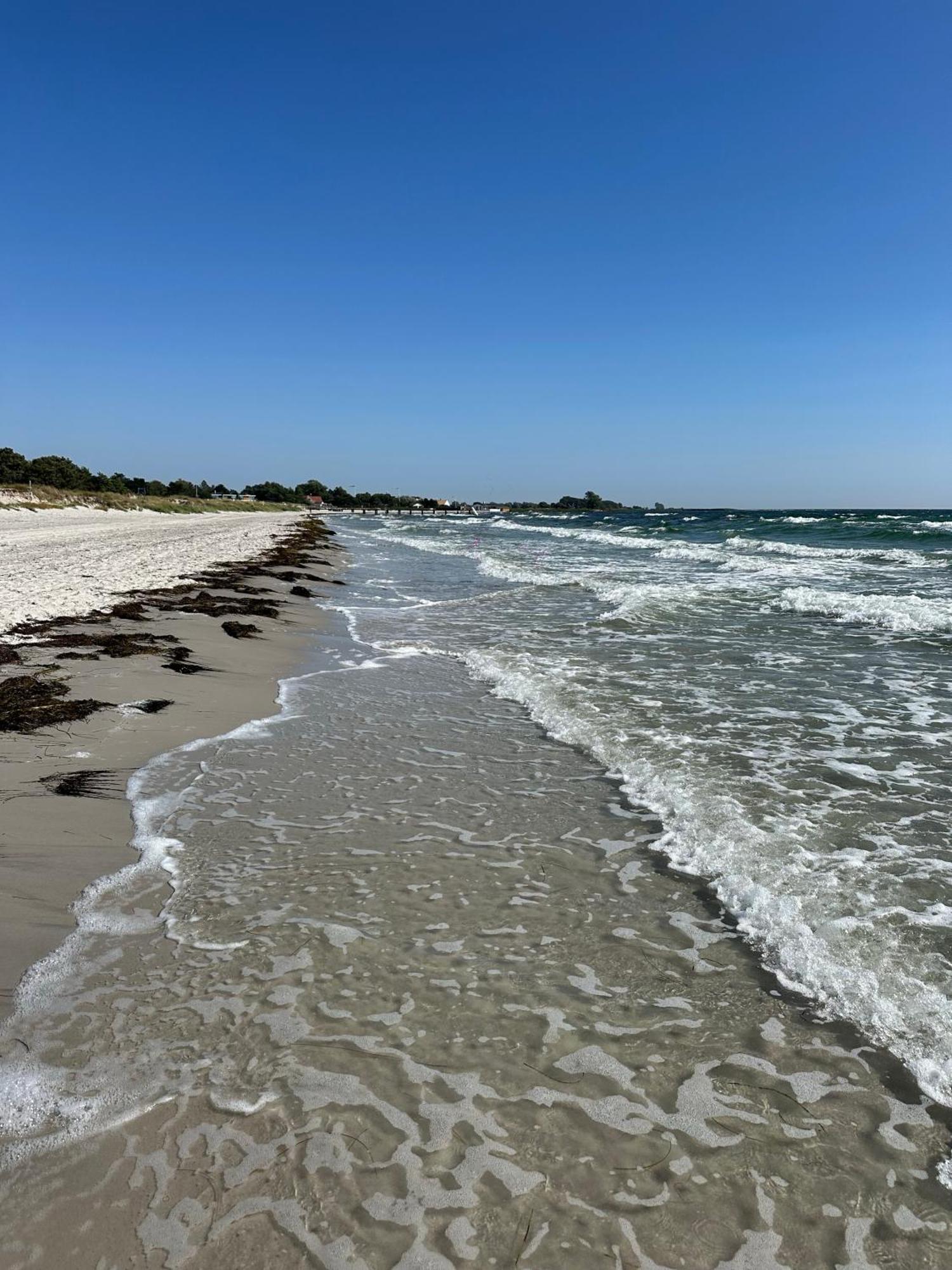 Gaesthus I Kaempinge Naera Stranden Höllviken 外观 照片